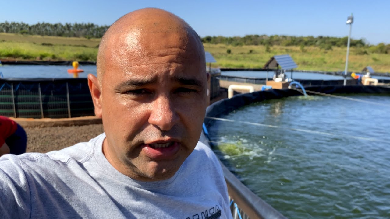 Tanque de peixe atualizado 2022 ótima renda