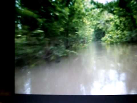 TRACE  ADKINS  BAYOU SUNRISE 1986