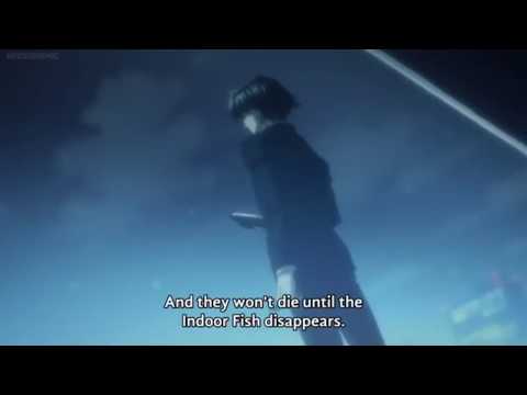 Chrollo Lucifer's İndoor Fish