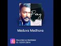 Medhuva Medhuva Oru Kadhal Paatu