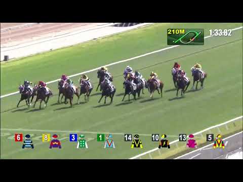 幸運精選22/03/12……(494)第四塲四班1800米