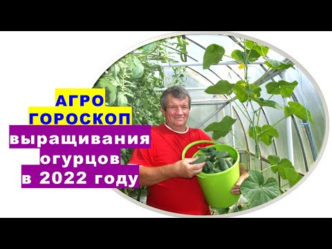 , title : 'Агрогороскоп выращивания огурцов в 2022 году'