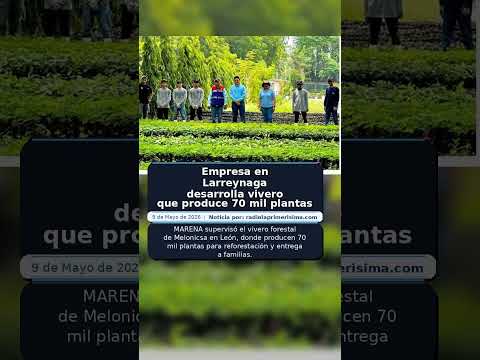 Empresa en Larreynaga desarrolla vivero que produce 70 mil plantas