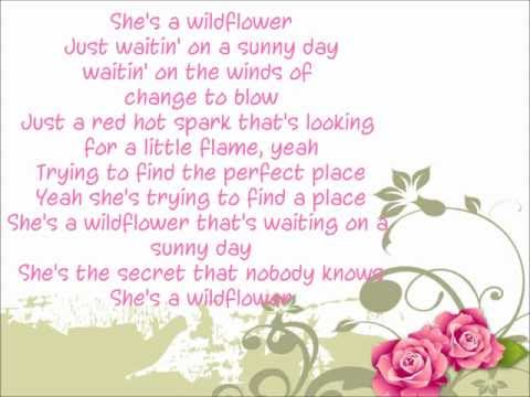 She's a Wildflower - Lauren Alaina (lyrics)