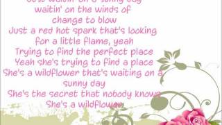 She&#39;s a Wildflower - Lauren Alaina (lyrics)
