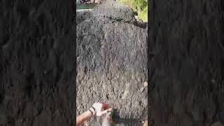 FOLLOW @Adrenaline Rush for more adrenaline related vedios