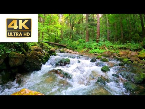 Nature relaxing video 4K ultra-HD | Nature 4K ultra-HD mediation video relax mind body | #nature
