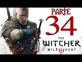 THE WITCHER 3 WILD HUNT Walkthrough ITA HD PARTE 34 Imerith E Le Megere