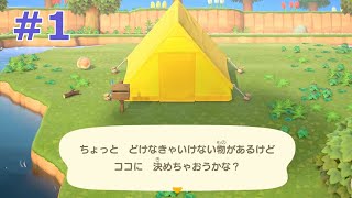 【#1】無人島でエンジョイする２人のオッサン【あつまれどうぶつの森】