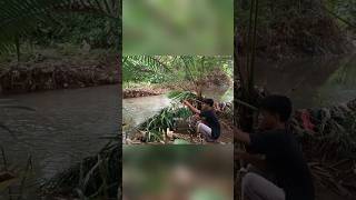 Download lagu Got a lot of fish in this spot #aditya #shorts mp3