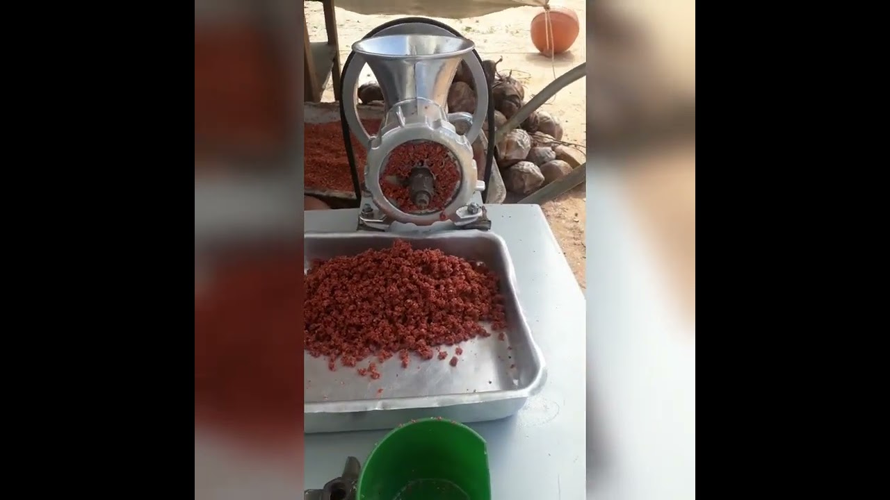 PREPARANDO RAÇÃO CASEIRA  PALHETIZADORA COM MOINHO DE CARNE MOTORIZADO, PASSO A PASSO NO CANAL .