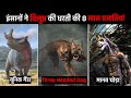 Some Special Animals Became Extinct Due To Humans Extinct Animals In History