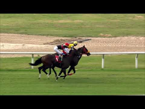 210321 c01 MINDCRAFT PLANE