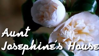Aunt Josephine's House #33