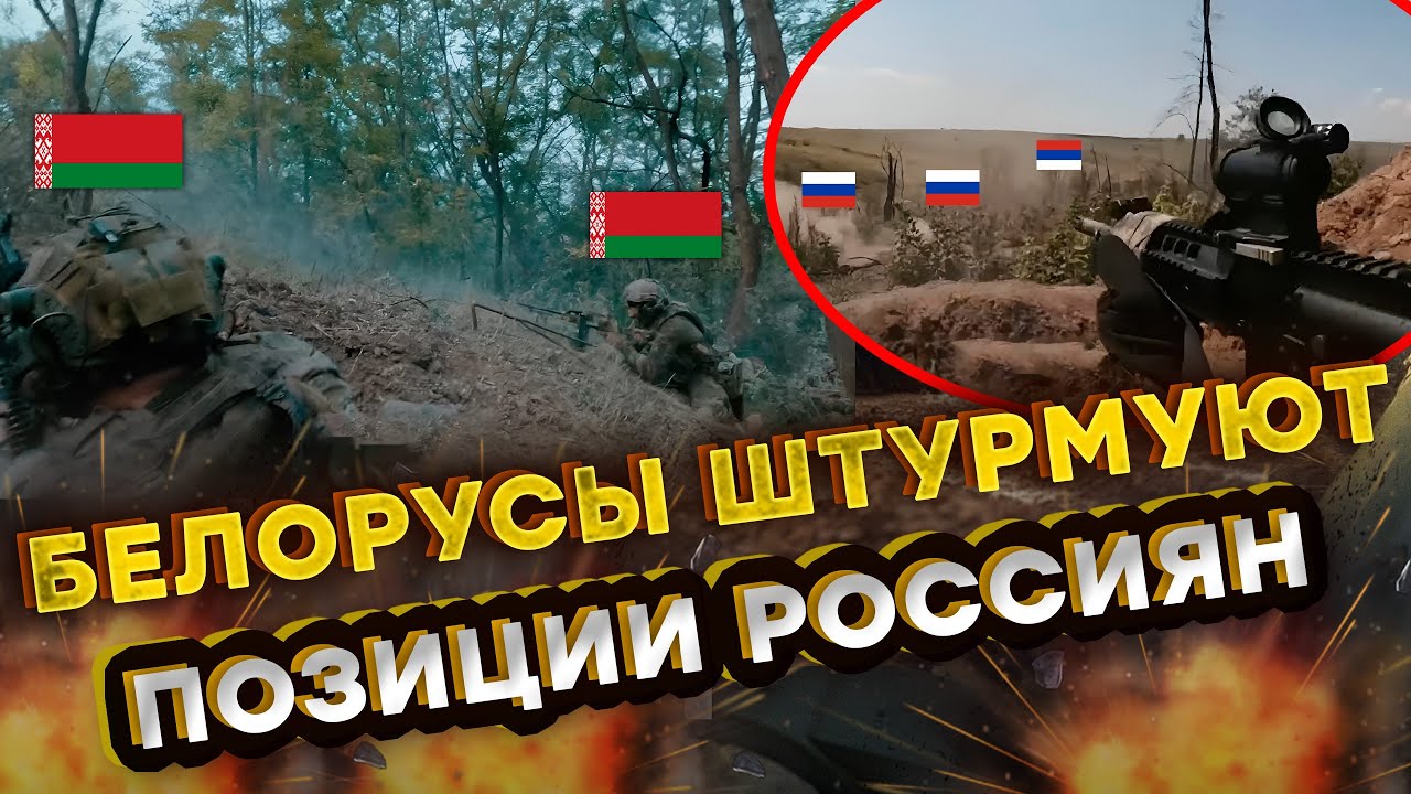 ⭕️ ЖЕСТКИЕ кадры 18+ БЕЛОРУСЫ ВОРВАЛИСЬ В лес ПОЛНЫЙ РОССИЯН! Бои от первого ?