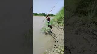 Download lagu Amezing Tata fishing // A great way Tata fishing in flood water #shorts mp3