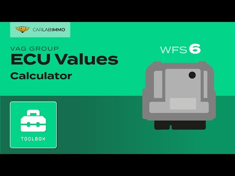 ECU Values (VAG Group WFS6) Read VIN1/VIN2/MAC/POWER CLASS/FAZIT | Immo Bypass Toolbox | CarLabImmo