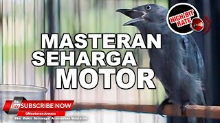 Download lagu 🔴 Srigunting Abu Abu Gacor Nembak Cililin Pelatuk Tengkek Buto Kunti❗️ mp3