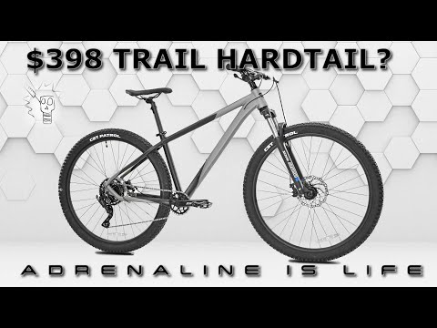 Is This Cheap Hardtail MTB Worth it?| A Look at the Kent Trouvaille 29er Mountain Bike