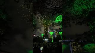 ガーデンズ バイ ザ ベイ夜のライトアップ「ガーデン・ラプソディ」