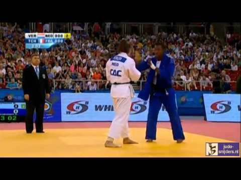 Judo 2013 European Championships Budapest: Verkerk (NED) - Tcheumeo (FRA) [-78kg] bronze