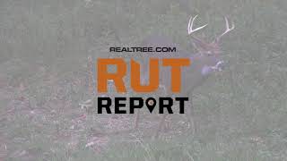 Deer Hunting: Introducing Realtree.com's New Rut Report