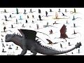 Dragon Size Comparison