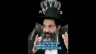 הַחִסָּרוֹן שֶׁל הָאָדָם — זֶה הַשְּׁלֵמוּת שֶׁלּוֹ (הרב שי עובד) - התמונה מוצגת ישירות מתוך אתר האינטרנט יוטיוב. זכויות היוצרים בתמונה שייכות ליוצרה. קישור קרדיט למקור התוכן נמצא בתוך דף הסרטון