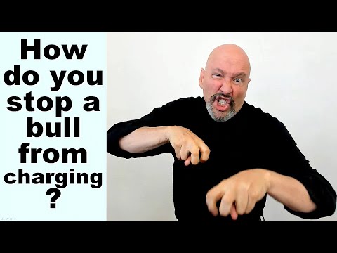 ABC s in ASL Learn how to Fingerspell