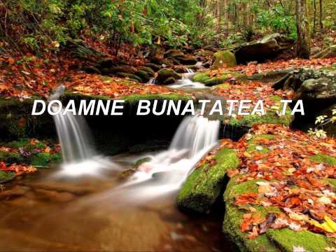 DOAMNE BUNATATEA TA - Nelu Mot