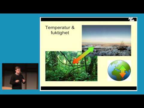 Mammutar och molekyler