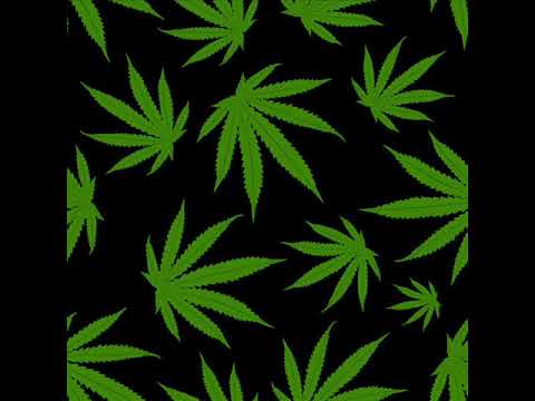 SIEQ x BILU x BENEFEAT -  TYTY DO HAHA