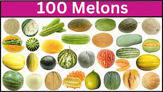 Types of Melon | Most Exotic Melons You Have Never seen