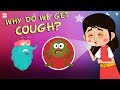 Why Do We Get COUGH? | COUGH | What Is Cough? | The Dr Binocs Show | Peekaboo Kidz