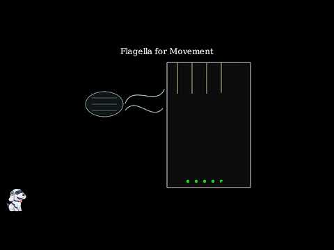Diatoms – Definition, Structure, Life Cycle, Importance - Video