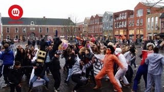 preview picture of video 'Harlem Shake Woerden'