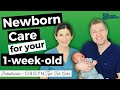 NEWBORN CARE Pediatrician Guide To Week 1