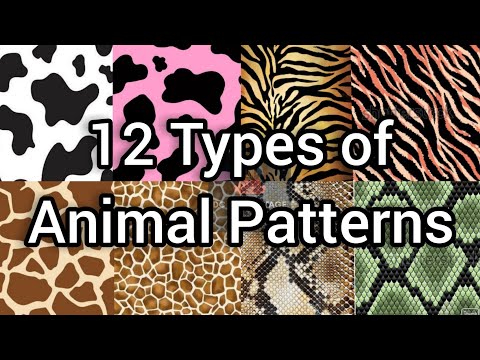 Different types of animals patterns with names || interior solutions || animal textures​ ||