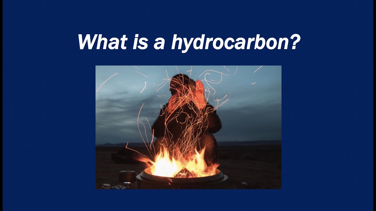 What are hydrocarbons give 4 examples?