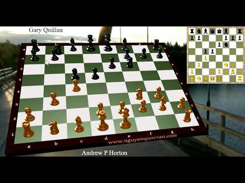 Andrew P Horton vs Gary Quillan on 2017 11 11 4167