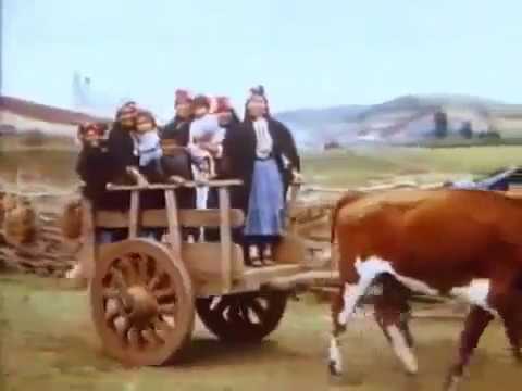 Mapuche Wallmapu Mew (Mapuche en Wallmapu) 1937