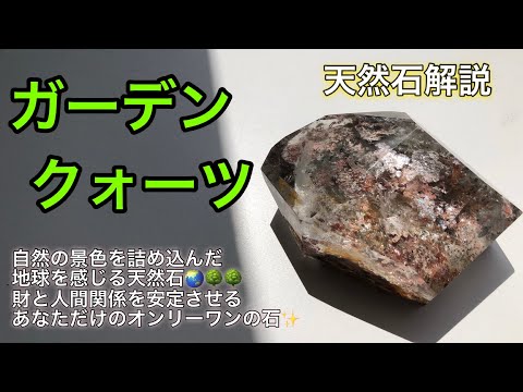 菜園の境界線か天然石か？選択してください。  庭園