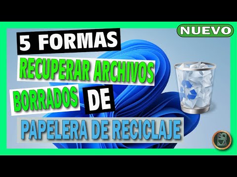 Cómo recuperar archivos eliminados en Windows 11 en 2026 antes de que desaparezcan para siempre