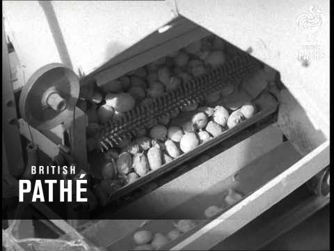 Potato Planter Aka High-Speed Potato Planter (1968)