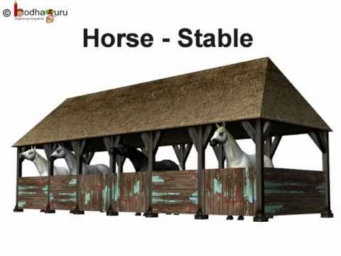 Science - Animal Homes - Telugu