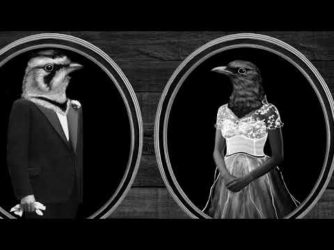 Les Tireux d'Roches (TDR) - Le mariage des gueux