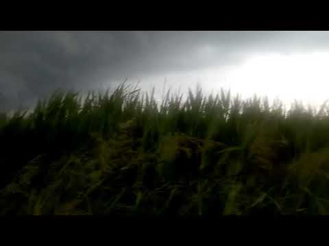 Maltempo a Secugnago -lodi