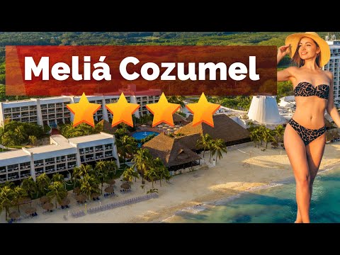 Videos del Melia Cozumel 4★ en Cozumel, MéxicoVerPrecios18CerrarConsulta por Whatsapp 🇦🇷BookingTripadvisorExpediaAgodaTravelocityOrbitzTripSkyscannerDespegarKayakHotelesBestdayDestiniaTrivagoAlmundoLastminuteHotwireWotif
