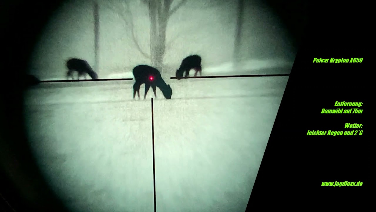 Pulsar Krypton XG50 Wärmebild - Vorsatzgerät l Praxistest bei leichtem Regen