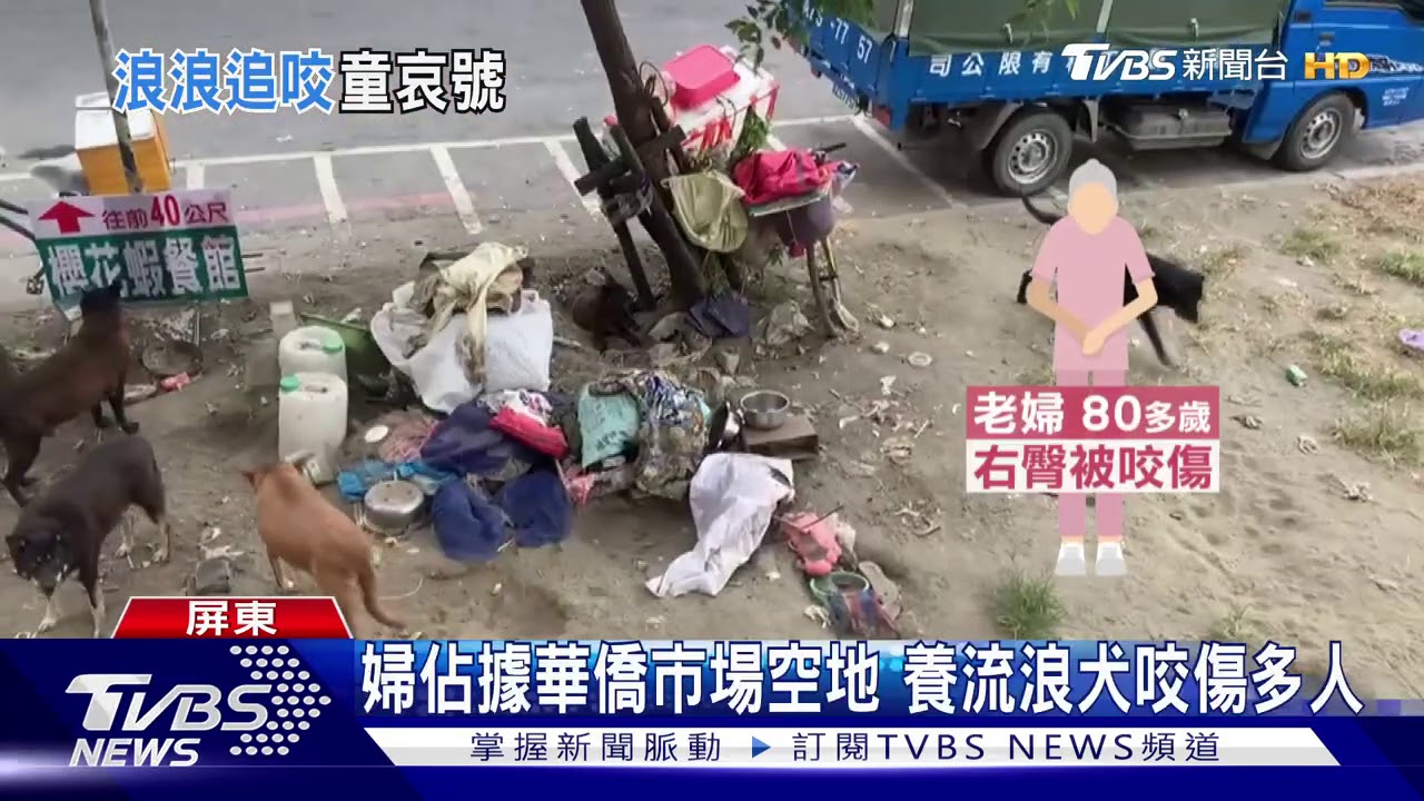 婦佔據華僑市場空地　養流浪犬咬傷多人